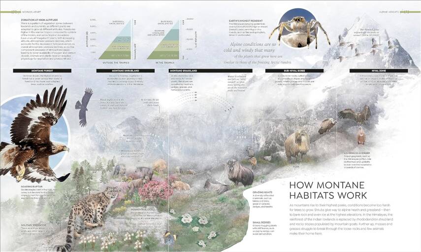 Habitats: Discover Earth's Precious Wild Places - 10