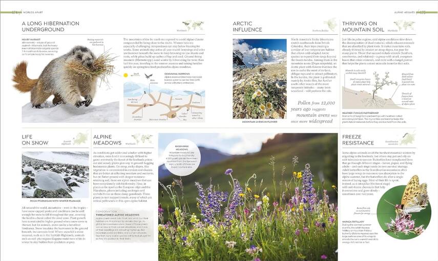 Habitats: Discover Earth's Precious Wild Places - 11