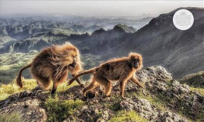 Habitats: Discover Earth's Precious Wild Places - 12