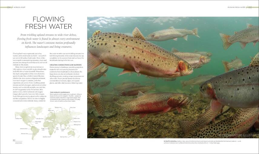 Habitats: Discover Earth's Precious Wild Places - 13