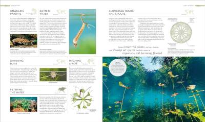 Habitats: Discover Earth's Precious Wild Places - 14