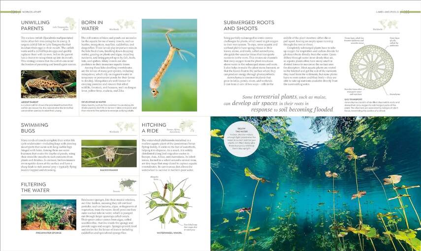 Habitats: Discover Earth's Precious Wild Places - 14