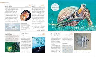 Habitats: Discover Earth's Precious Wild Places - 17