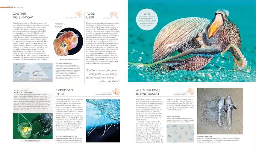 Habitats: Discover Earth's Precious Wild Places - 17