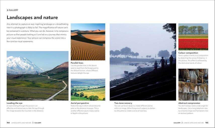 How to Photograph Absolutely Everything - 10