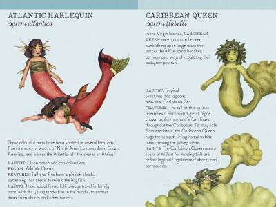 Match The Mermaids - 9