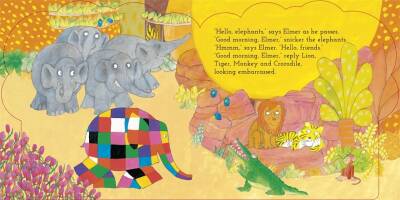 My First Elmer Birthday - 3