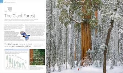 Natural Wonders of the World - 5