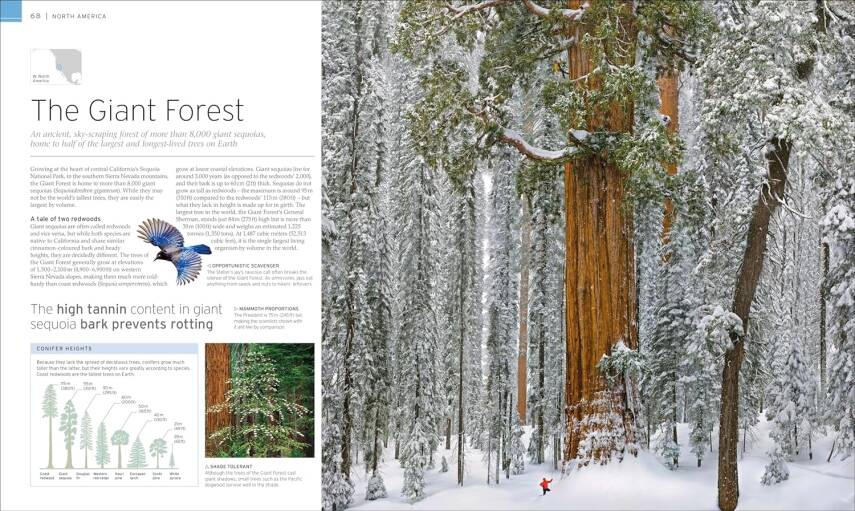 Natural Wonders of the World - 5