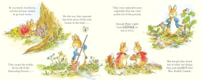 Peter Rabbit: The Great Outdoors Treasure Hunt - 6