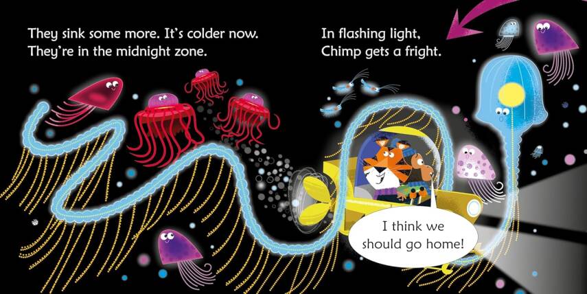 Phonic Readers: Tiger Deep-sea Diver - 2