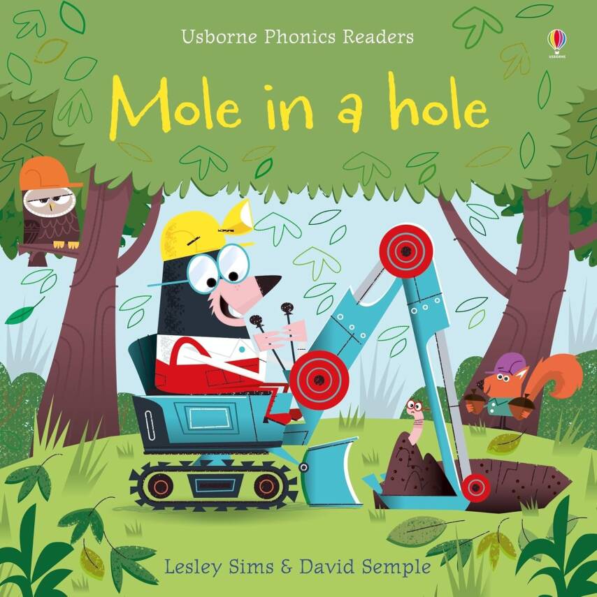 Phonics Readers: Mole in a Hole - 1
