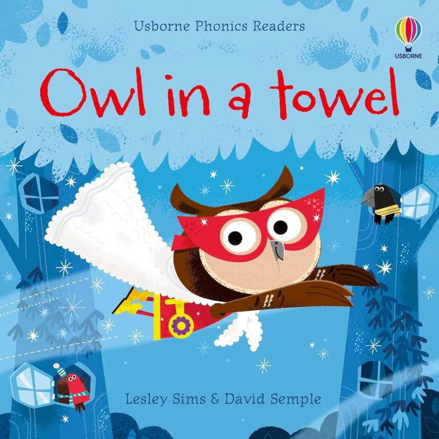Phonics Readers: Owl in a Towel - 1