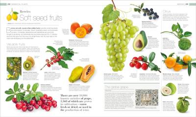 Plants and Fungi: The Definitive Visual Guide - 8