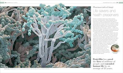 Plants and Fungi: The Definitive Visual Guide - 9