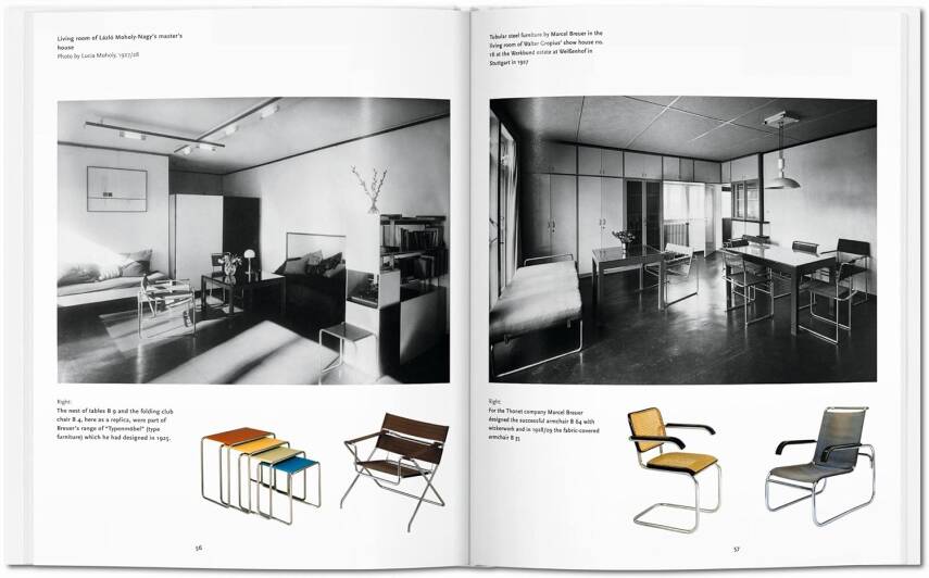 The Bauhaus: 1919-1933: Reform and Avant-garde - 7