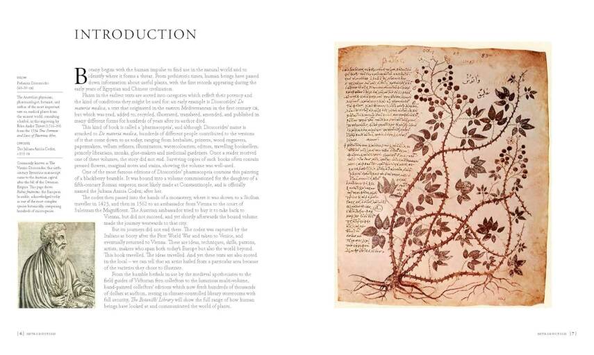 The Botanists' Library - 2