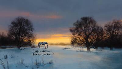 The Boy, the Mole, the Fox and the Horse: The Animated Story - 6