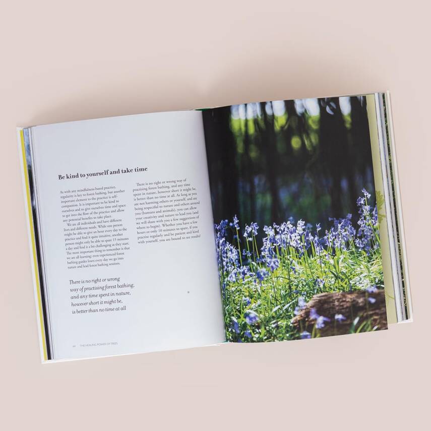 The Healing Power of Trees - 3