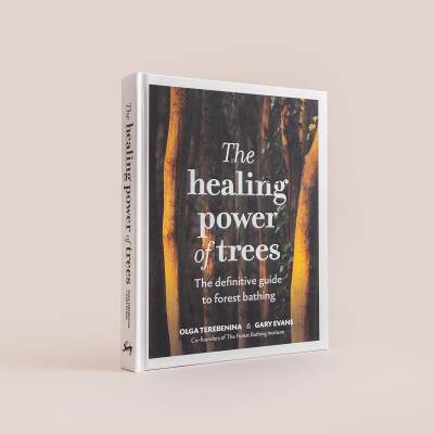 The Healing Power of Trees - 4