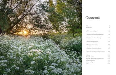 The Healing Power of Trees - 5