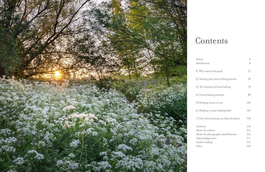 The Healing Power of Trees - 5