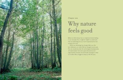 The Healing Power of Trees - 6