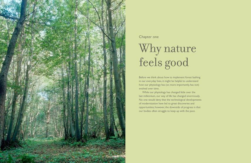 The Healing Power of Trees - 6