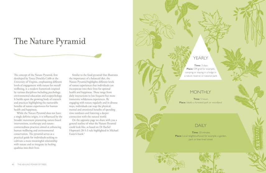 The Healing Power of Trees - 8