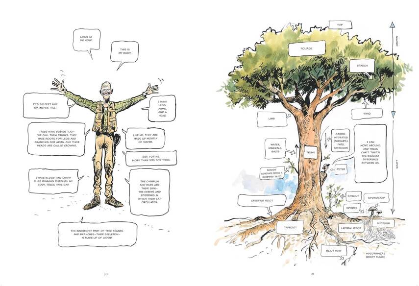 The Hidden Life of Trees: A Graphic Adaptation - 2