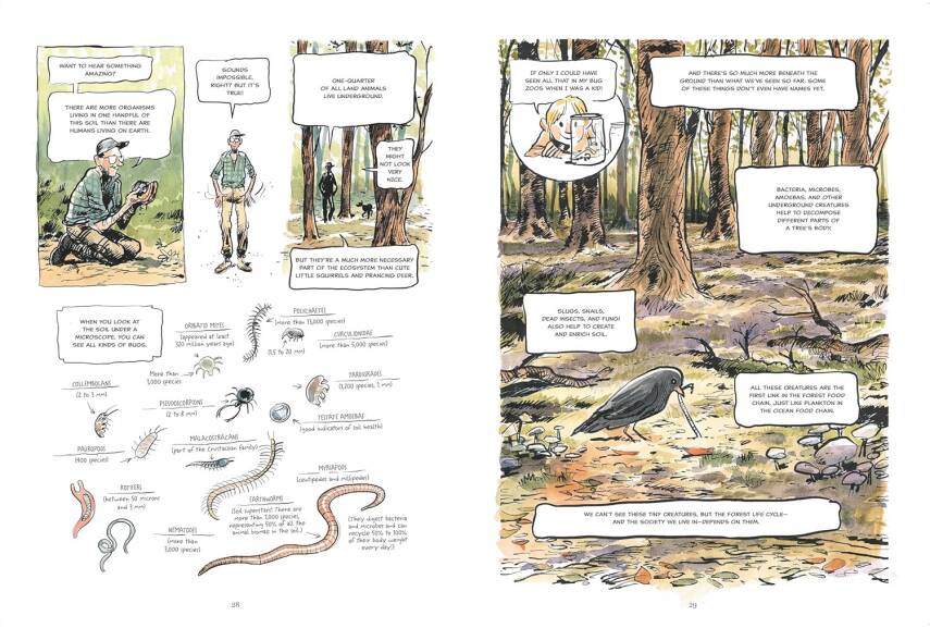 The Hidden Life of Trees: A Graphic Adaptation - 3