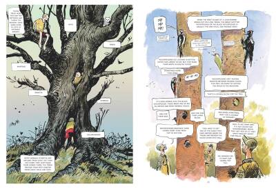 The Hidden Life of Trees: A Graphic Adaptation - 4