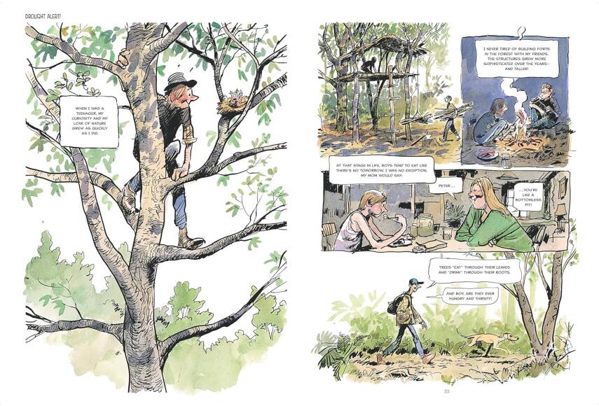 The Hidden Life of Trees: A Graphic Adaptation - 5