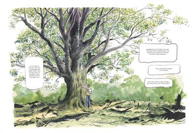 The Hidden Life of Trees: A Graphic Adaptation - 6