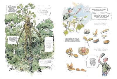 The Hidden Life of Trees: A Graphic Adaptation - 7