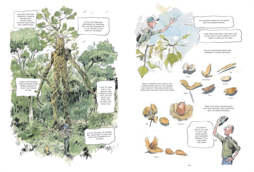 The Hidden Life of Trees: A Graphic Adaptation - 7
