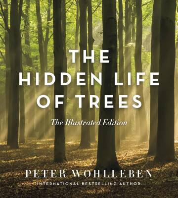 The Hidden Life of Trees: The Illustrated Edition - Greystone Books