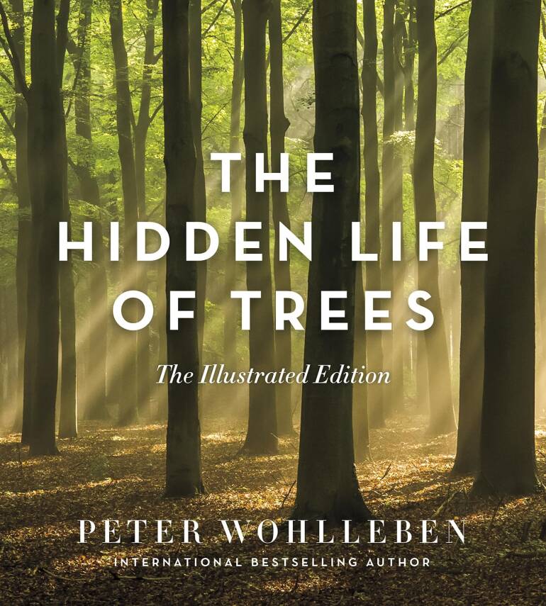 The Hidden Life of Trees: The Illustrated Edition - 1