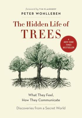 The Hidden Life of Trees: What They Feel, How They Communicate - Greystone Books