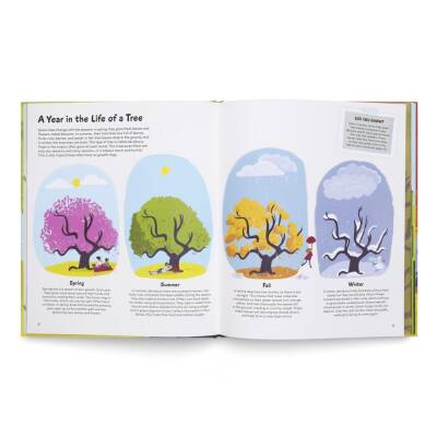 The Little Book of Trees - 3