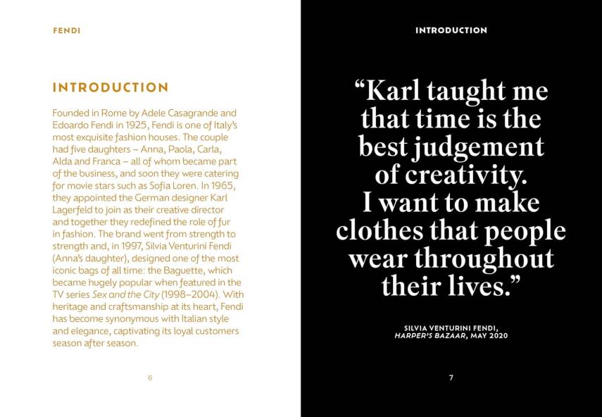 The Pocket Fendi - 3