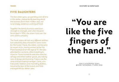 The Pocket Fendi - 6