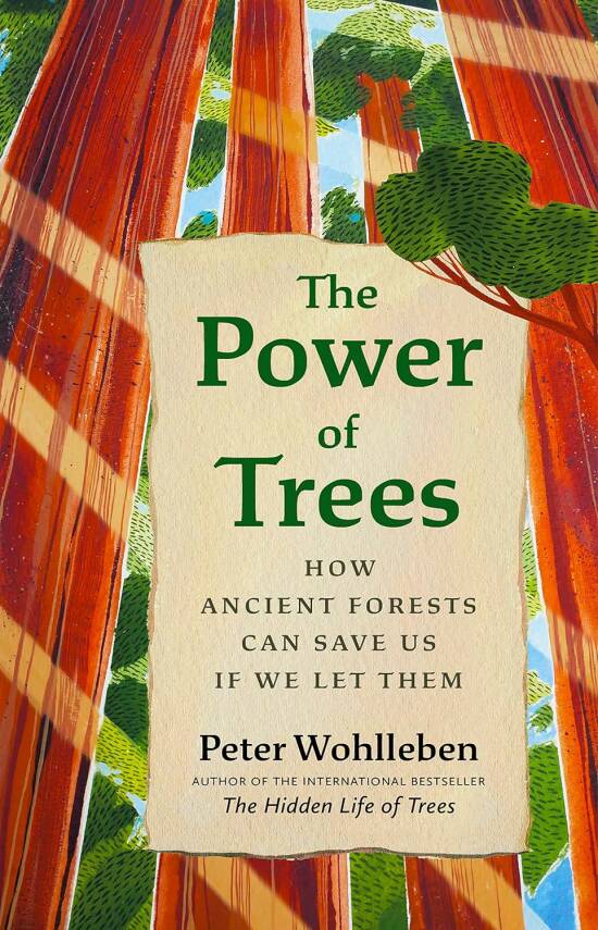 The Power of Trees: How Ancient Forests Can Save Us if We Let Them - 1