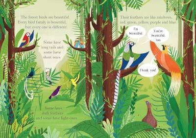 The Rainbow Coat - 3