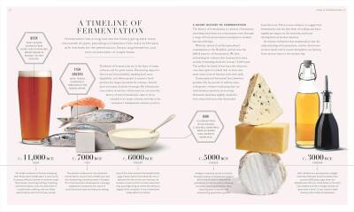 The Science of Fermentation - 5