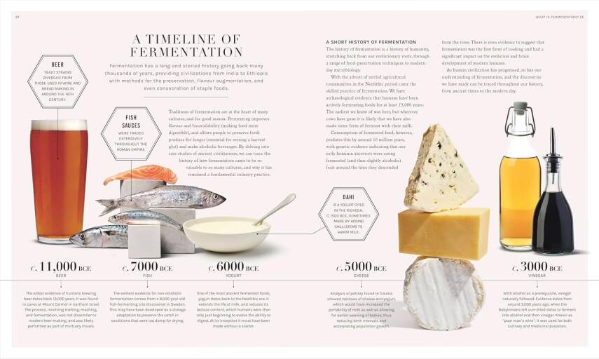 The Science of Fermentation - 5