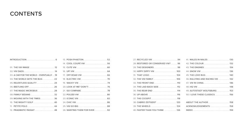 The Spirit of VW - 3