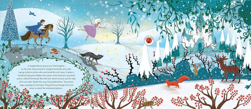 The Story Orchestra: The Sleeping Beauty - 4