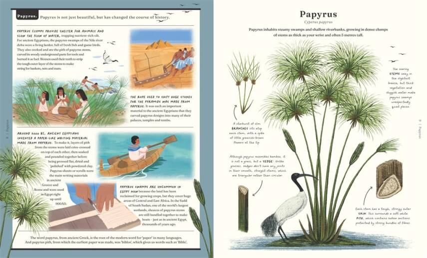 The Stuff that Stuff is Made of  - 3