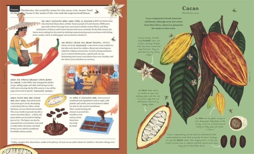 The Stuff that Stuff is Made of  - 4